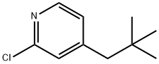 2-氯新戊基吡啶_cas:2387538-18-1