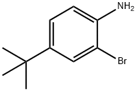 2-溴-4-叔丁基苯胺_CAS:103273-01-4